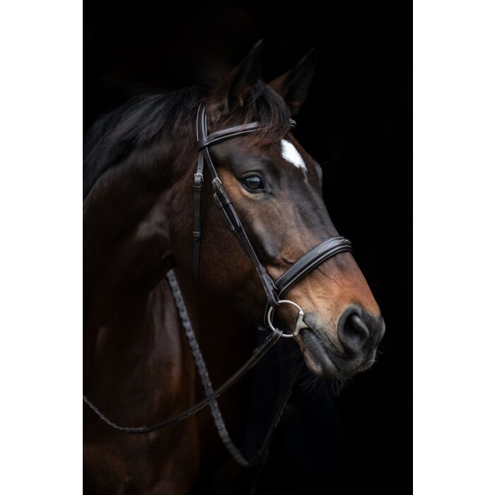 HKM Bridle - Hunter